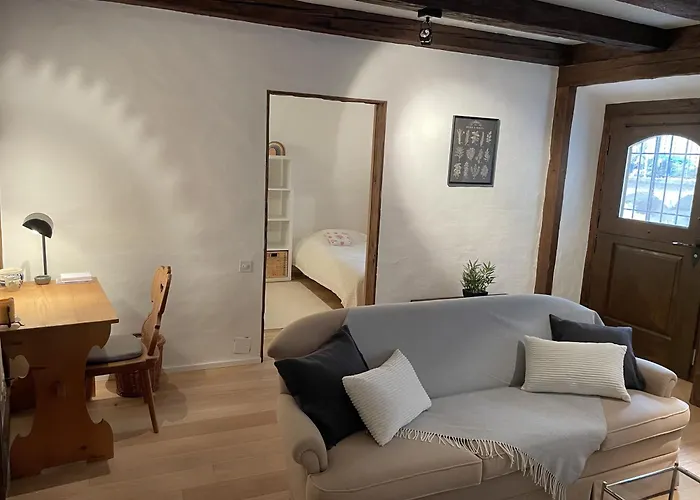 Prázdninový dům Il Nido By Fewotessin Ronco sopra Ascona